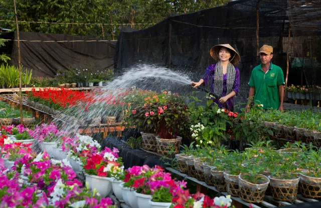 Jardinier travaillant parmi des plantes tropicales